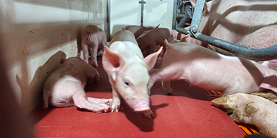 車輛洗消中心設計要求（規(guī)劃要求）？